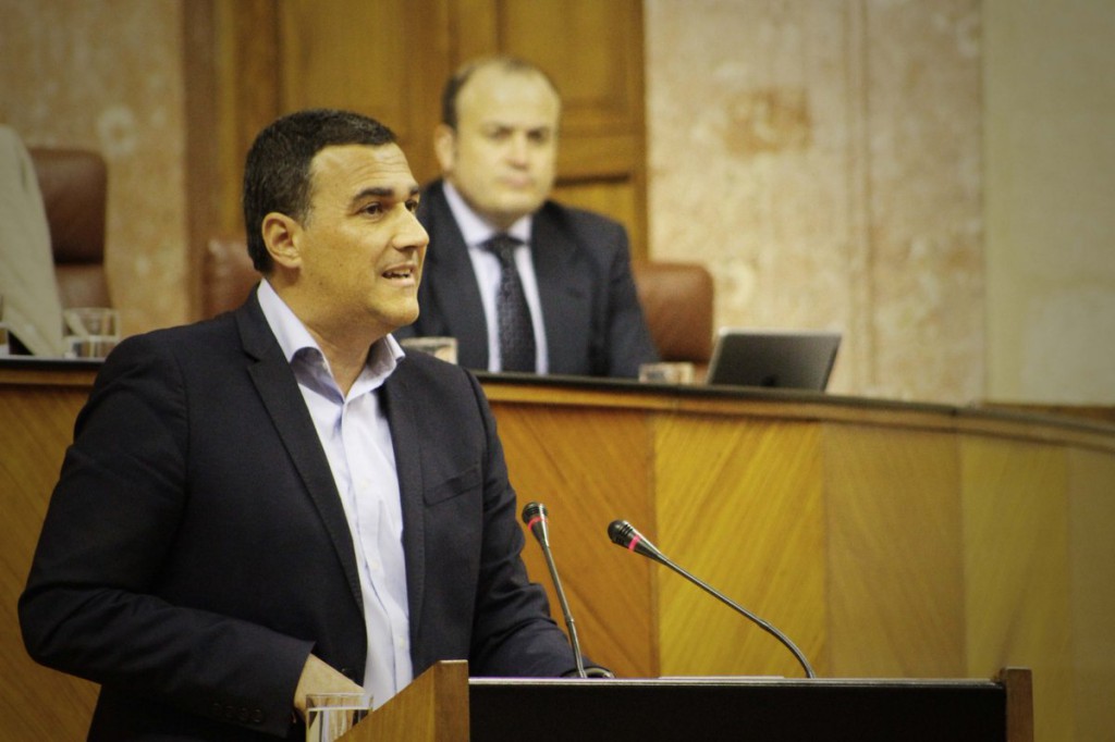 Carlos Hernandez Parlamento Andalucía febrero 2017 III