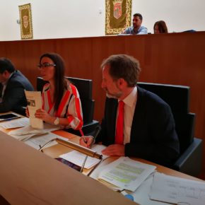 Diputación aprueba la moción de Cs para que una comisión independiente supervise la gestión del MAD y la compra de arte