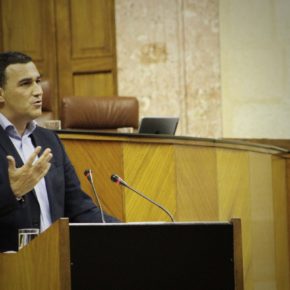 Ciudadanos cuestiona a la Junta de Andalucía para que explique cómo pretende reducir el déficit de comunicaciones de la Costa del Sol