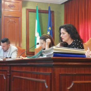 El tripartito vuelve a dejar fuera del Pleno la rebaja de la tasa de ocupación de la vía pública propuesta por Ciudadanos Nerja