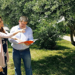 Ciudadanos reclama a la Diputación la creación de campañas específicas para controlar las plagas de la avispilla del castaño y el ébola del olivo