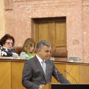 Javier Pareja (Cs): “El PSOE tiene miedo a que el nuevo gobierno impulse las obras del tercer hospital de inmediato”