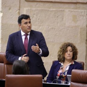 Hernández White: “El Gobierno andaluz está actuando con rapidez para salvar vidas y empleos de los malagueños”
