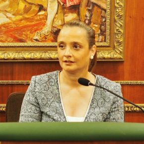 Cs Marbella logra el apoyo del Pleno para que el Ayuntamiento conceda doble licencia al sector del ocio nocturno   