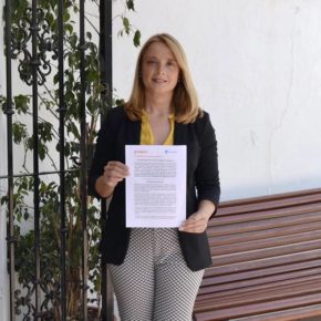 Cs Marbella reclama cambios en la tarifa de la luz para no gravar a los hogares vulnerables