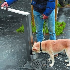 Padilla propone la instalación de fuentes de agua adaptadas para mascotas en Benahavís